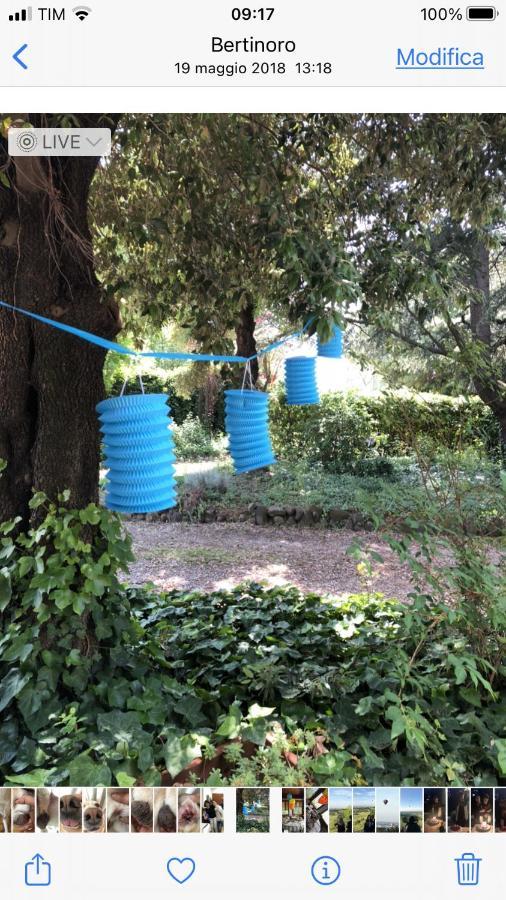 Villa 225 Bracciano  エクステリア 写真